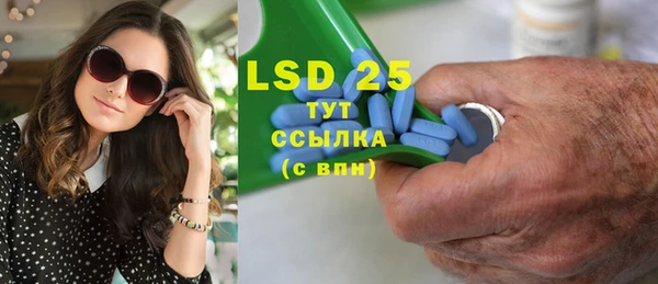 прущие грибы Аркадак