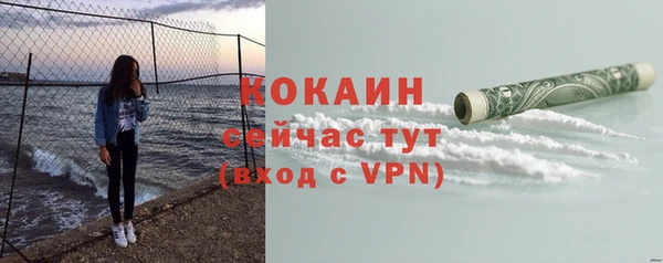 прущие грибы Аркадак