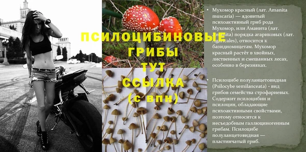 мяу мяу кристалл Арсеньев