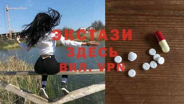 прущие грибы Аркадак