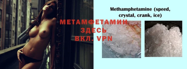 прущие грибы Аркадак