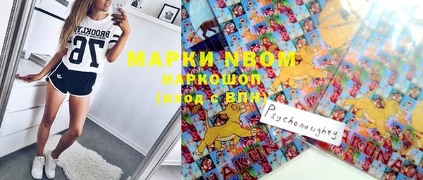 прущие грибы Аркадак