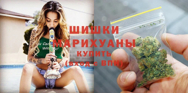 прущие грибы Аркадак