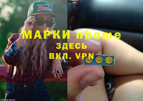 прущие грибы Аркадак